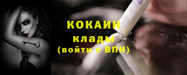 шишки Бронницы