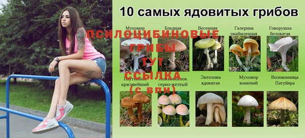 молекула духа Ладушкин