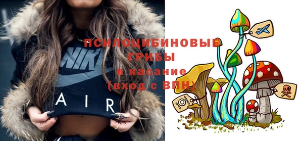 гашик Верхнеуральск